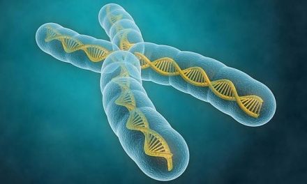 El tabaquismo promueve la pérdida del cromosoma Y, rasgo asociado a un mayor riesgo de cáncer en hombres