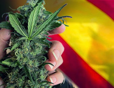 España no se plantea por el momento legalización de marihuana