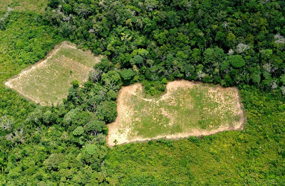 ¿Qué hay detrás del discurso reformista sobre drogas de Colombia?