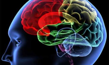 Crean el primer mapa en 3D del cerebro humano psicodélico