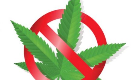 Vive lo único positivo del cannabis: ¡dejarlo!