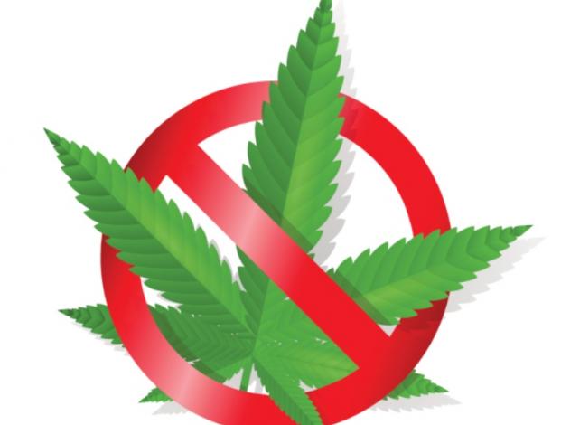 Vive lo único positivo del cannabis: ¡dejarlo!
