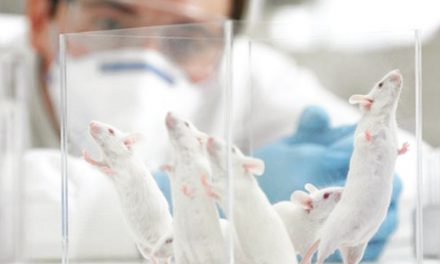 Identifican un neurotransmisor que regula la adicción a la cocaína