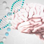 genes cerebro