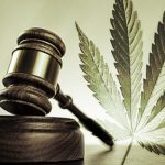 cannabis