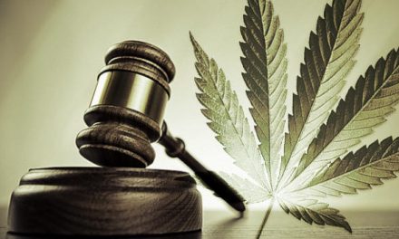 Caracterización del consumo de cannabis en Colombia