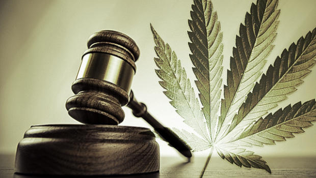 No debería haber una ley que reglamente el uso de la marihuana medicinal