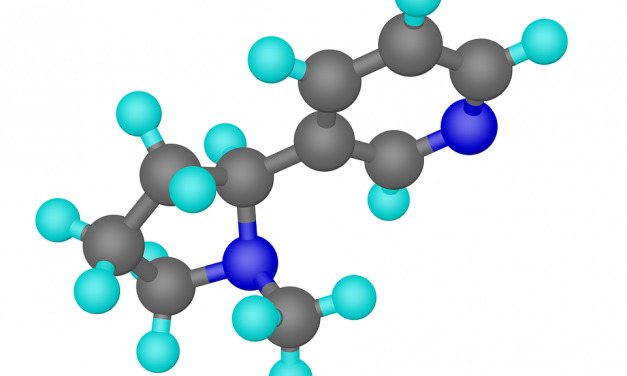 Desvelan el mecanismo molecular que desencadena las adicciones