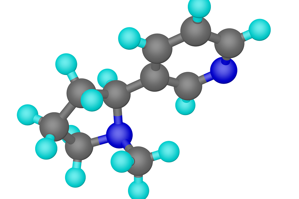 Desvelan el mecanismo molecular que desencadena las adicciones
