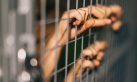 Crimen y castigo, daños colaterales de la guerra contra las drogas de EE.UU.