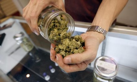 La Cámara de Diputados de México aprueba la legalización de la marihuana