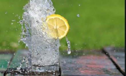 El peor trago de ser abstemio: las preguntas y los comentarios