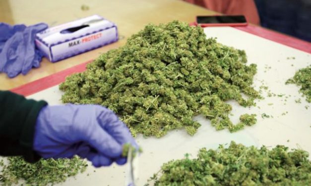 Un estudio genético halla la relación entre esquizofrenia y consumo de cannabis