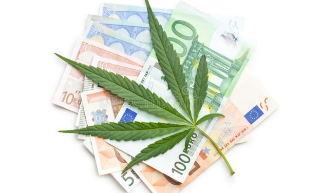Multas de 10.401€ por tenencia de cannabis (Ley Mordaza)