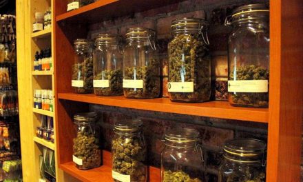 Farmacias uruguayas indecisas de sumarse o no a la venta de marihuana