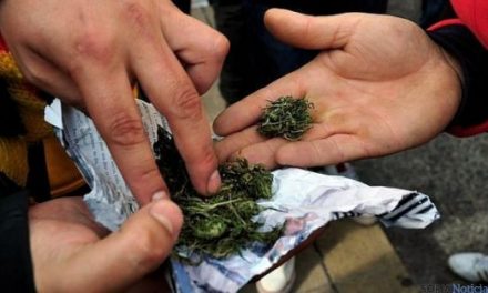 Castilla y León (España): La Junta completa en Soria la red de programas de prevención familiar contra la droga
