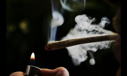 Desarrollan análisis de marihuana para conductores