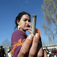 La edad del primer «porro» influye en el consumo de otras drogas