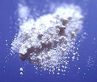 Antiepilépticos contra el abuso de cocaína
