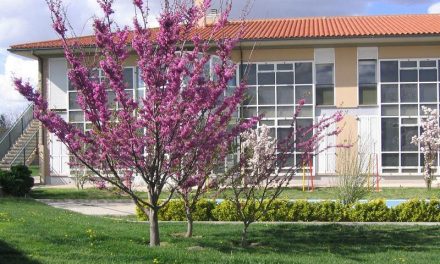 Aragón (España): El 30% de los adictos asistidos en Proyecto Hombre se rehabilita