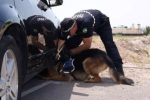 Almería (España): El curso «Perros de la droga» llega a la policía huercalense