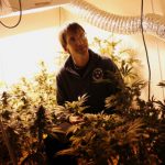 Aprueban la producción de marihuana a gran escala en una ciudad de California