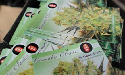Uruguay: Mujica no quiere legalizar la marihuana porque la sociedad «no está madura»