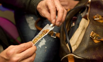 El joven consumidor habitual de drogas es varón, estudia y vive con sus padres