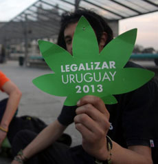 El Congreso uruguayo aprueba el proyecto para legalizar la marihuana