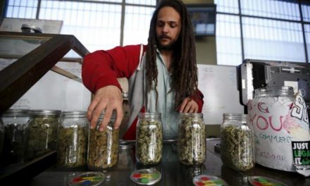El rápido despegue de la ‘economía de la marihuana’