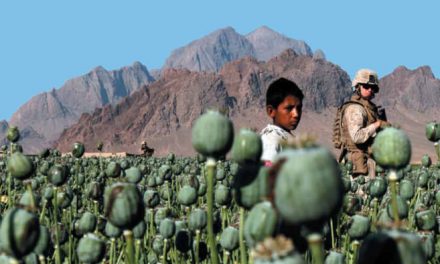 El fracaso global de la guerra contra las drogas