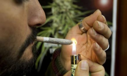 Cuando los gigantes del tabaco empezaron a oler a marihuana