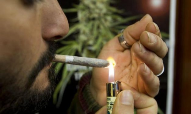 Cuando los gigantes del tabaco empezaron a oler a marihuana