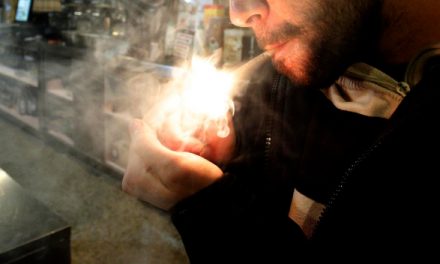 El Gobierno estudia recurrir la Ley de Adicciones del País Vasco por la regulación de los clubes de cannabis