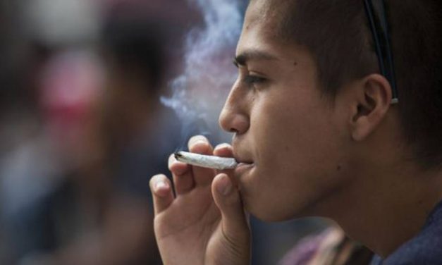 Legalización de la marihuana: “Es irresponsable mantener la prohibición de la marihuana en México”