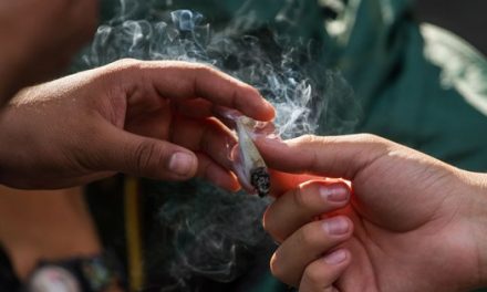 Nuevo México le dice «no» a la mariguana recreativa