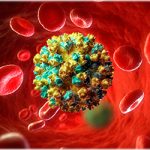hepatitis virus