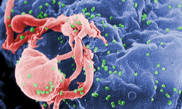 La OMS publica una nueva guía sobre VIH, hepatitis e ITS centrada en las poblaciones clave