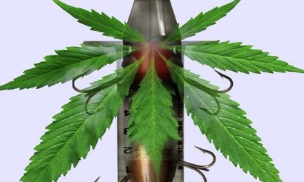 Drogas: ¿el modelo bélico es la solución final?