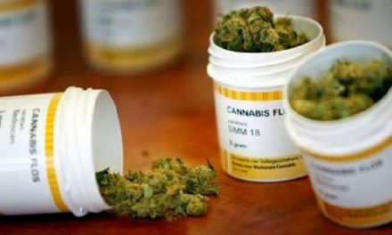 Ciudad de México aprobó el uso medicinal de la marihuana