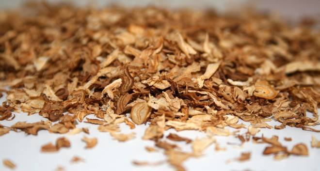 El tabaco destruye ocho millones de vidas humanas, 600 millones de árboles y 200.000 hectáreas de tierra al año
