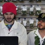 México debate sobre la legalización de la marihuana con fines médicos