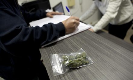 El Senado de México autoriza el uso medicinal de la marihuana por amplia mayoría