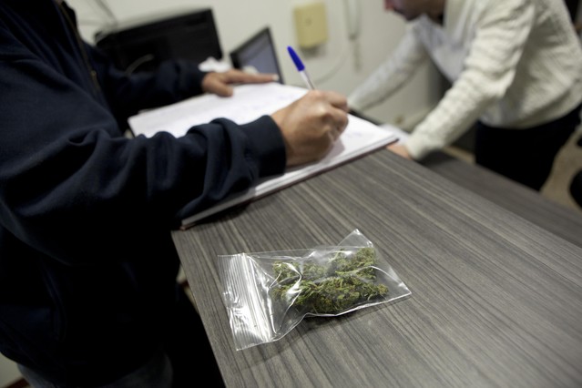 El Senado de México autoriza el uso medicinal de la marihuana por amplia mayoría