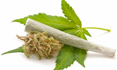 ONU: La mala regulación del cannabis medicinal puede ser «un peligro para la salud pública»