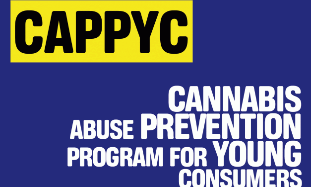 Seminario: Buenas prácticas en prevención del consumo de cannabis entre adolescentes. Claves de una experiencia europea