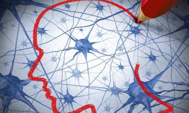 Identifican un circuito cerebral para la remisión de la adicción