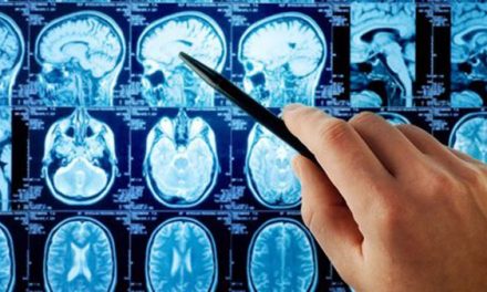 El cerebro adicto: cómo las drogas anulan las capacidades humanas