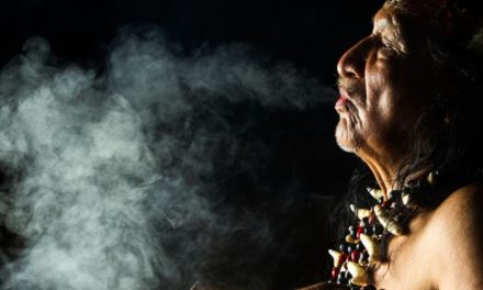 ¿Por qué al ser humano le atrae tanto el viaje psicodélico?