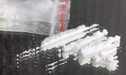 La inhibición de una única proteína ‘anula’ la adicción a la cocaína